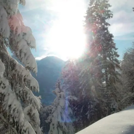 Muellerkaser בקתה לופר